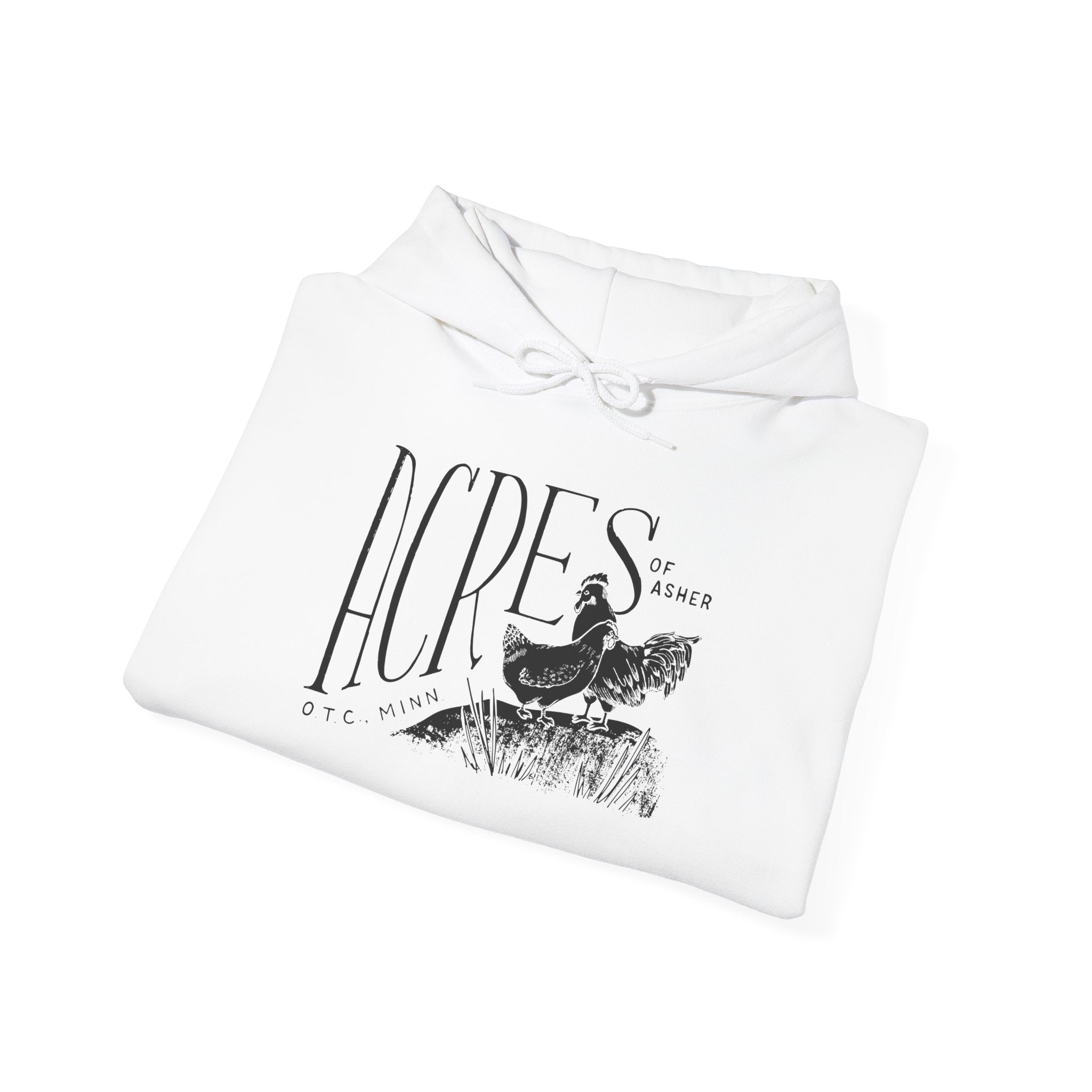 Nest Egg with Chicken Hill Hoodie